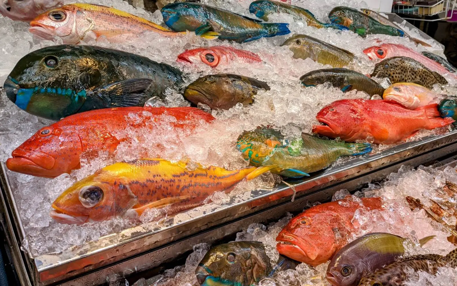 沖縄の市場に並ぶカラフルな熱帯・亜熱帯性の魚