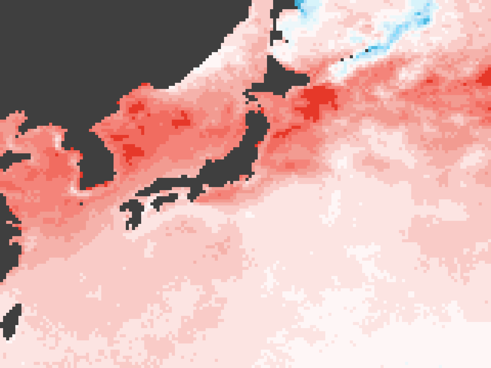 2024年の海面水温